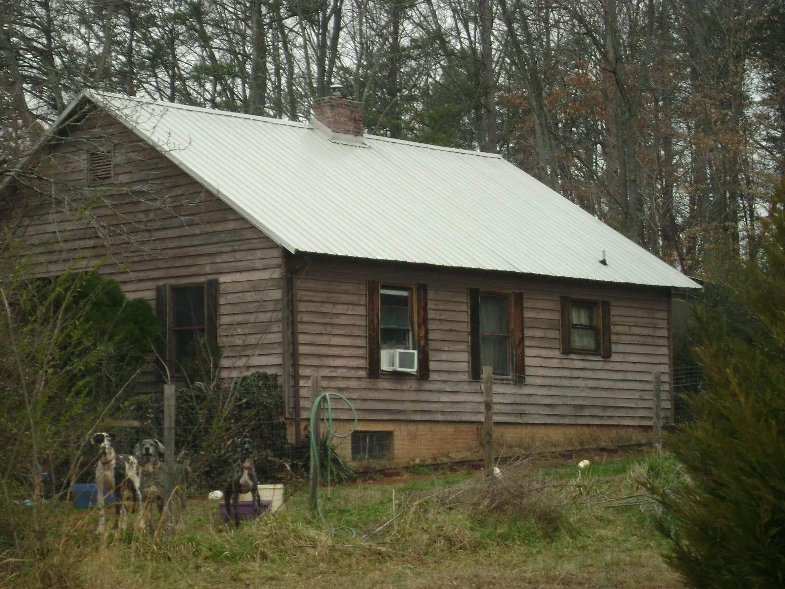 White metal roof on an old wood sided farmhouse, from a Asphalt Shingle Roof Repair job in Island